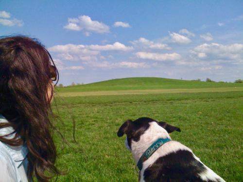 MJ & Benny looking at the Montrose harbor hill