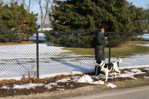 Benny in Winter