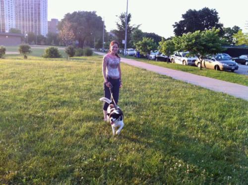 MJ walking Benny in grass