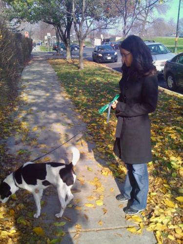 Mary Jany walks Benny (early days)