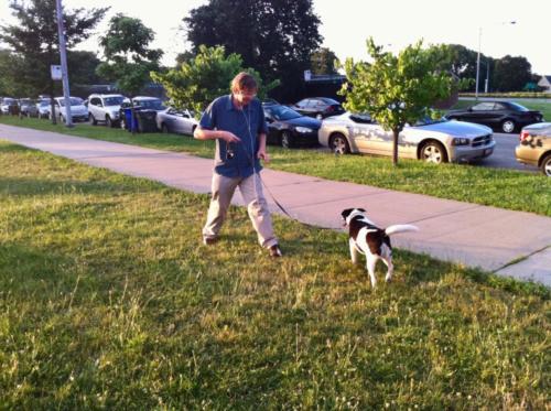 Thomas walking Benny in gras